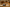 article featured lazyload