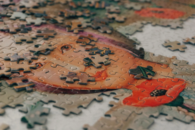Jigsaw Puzzles