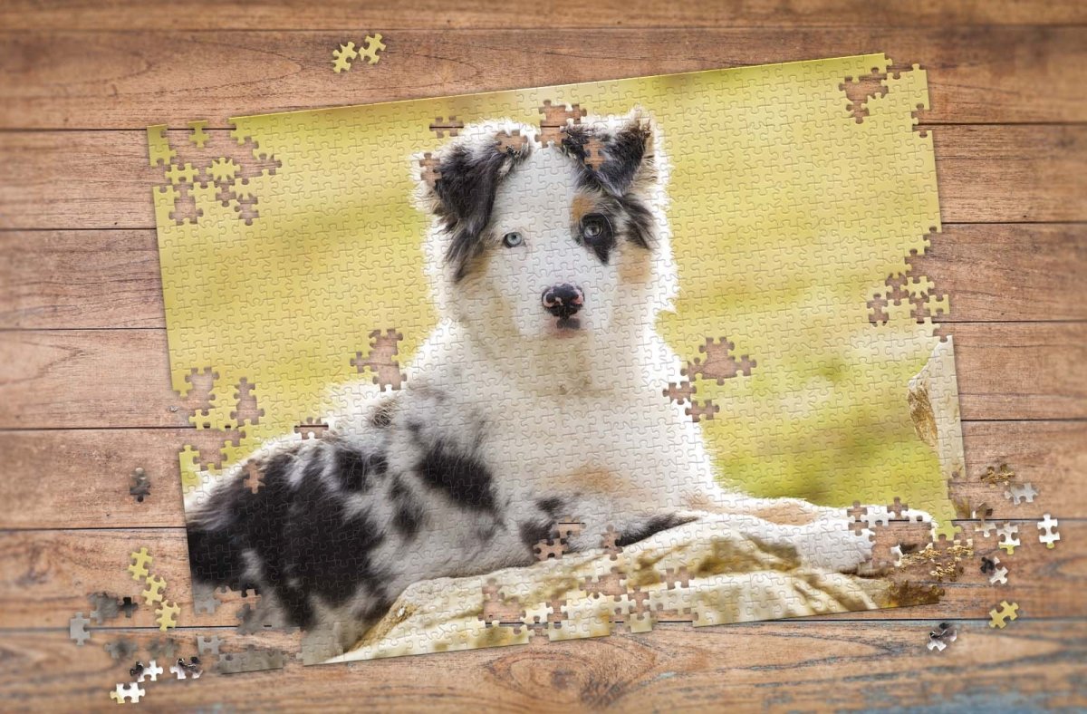 Dog Custom Photo Puzzle | MakeYourPuzzles