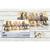 Thumbnail for MakeYourPuzzles Pro Photo Database 260 Piece Pro Photo Puzzle