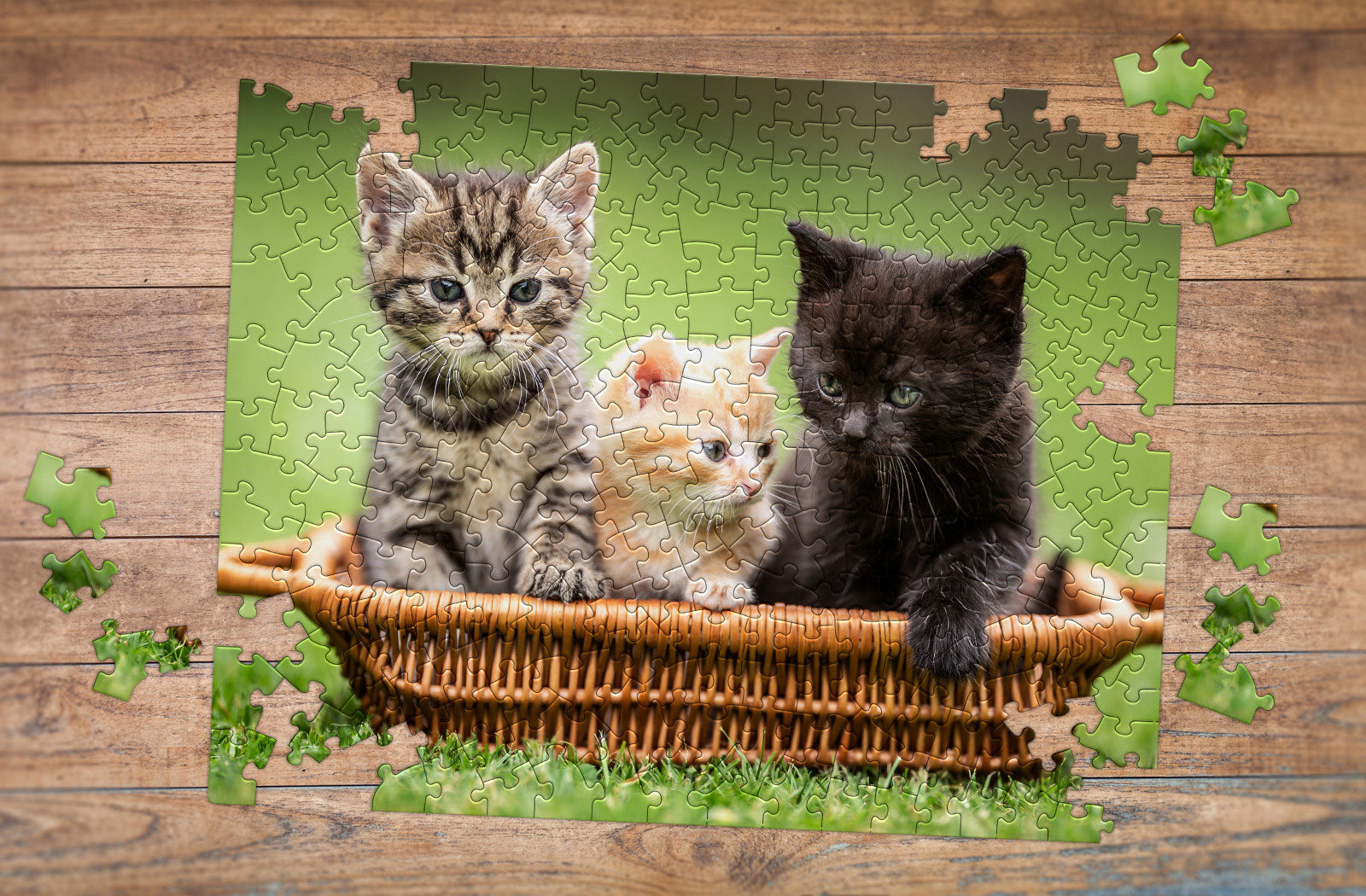 How to Turn Your Cute Pet Photos into an Adorable Custom Pet Jigsaw Puzzle - Premium Quality Photo Puzzle