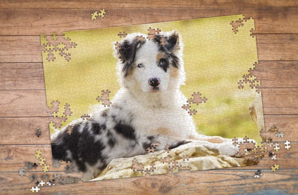 Dog Portrait Custom Photo Puzzle