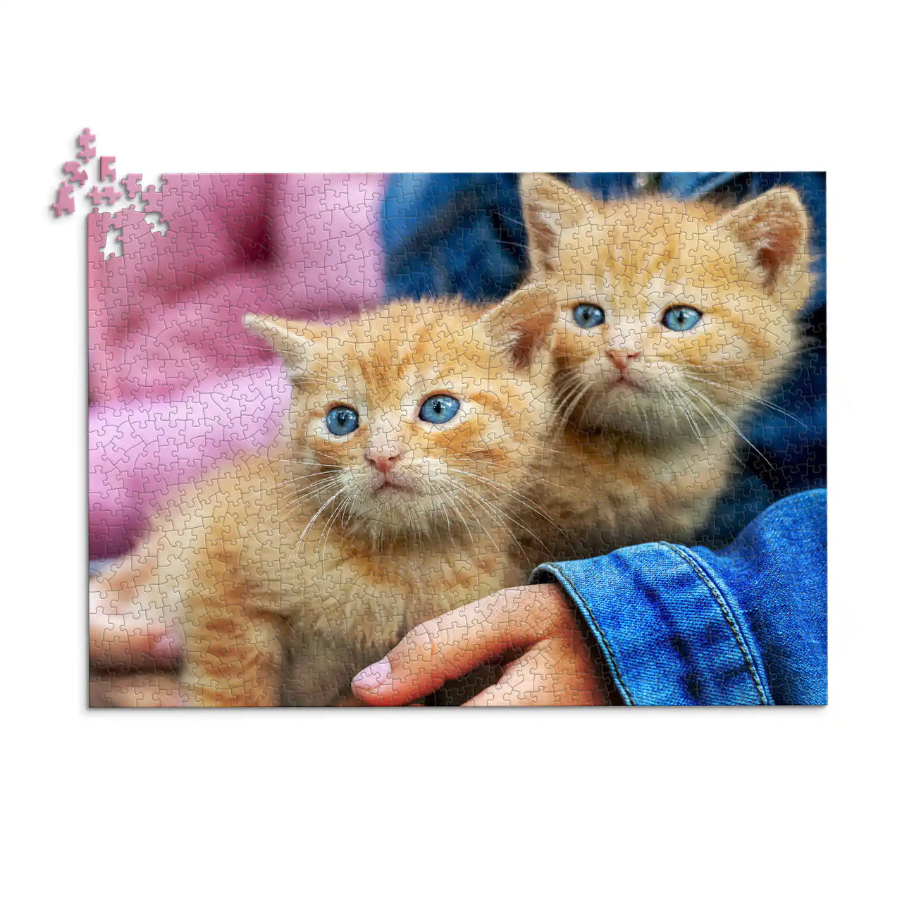 1000 Piece custom pet puzzle 1 photo landscape featuring two orange tabby kittens with bright blue eyes, one resting on a person's hand.