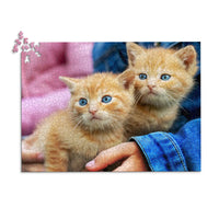 1000 Piece custom pet puzzle 1 photo landscape featuring two orange tabby kittens with bright blue eyes, one resting on a person's hand.