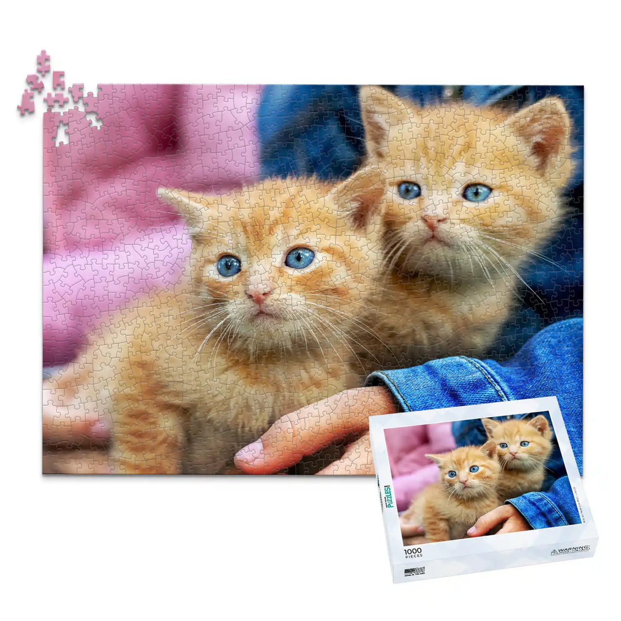 1000 Piece custom pet puzzle 1 photo landscape with puzzle box featuring two orange tabby kittens with bright blue eyes, one resting on a person's hand.