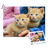 1000 Piece custom pet puzzle 1 photo landscape with puzzle box featuring two orange tabby kittens with bright blue eyes, one resting on a person's hand.