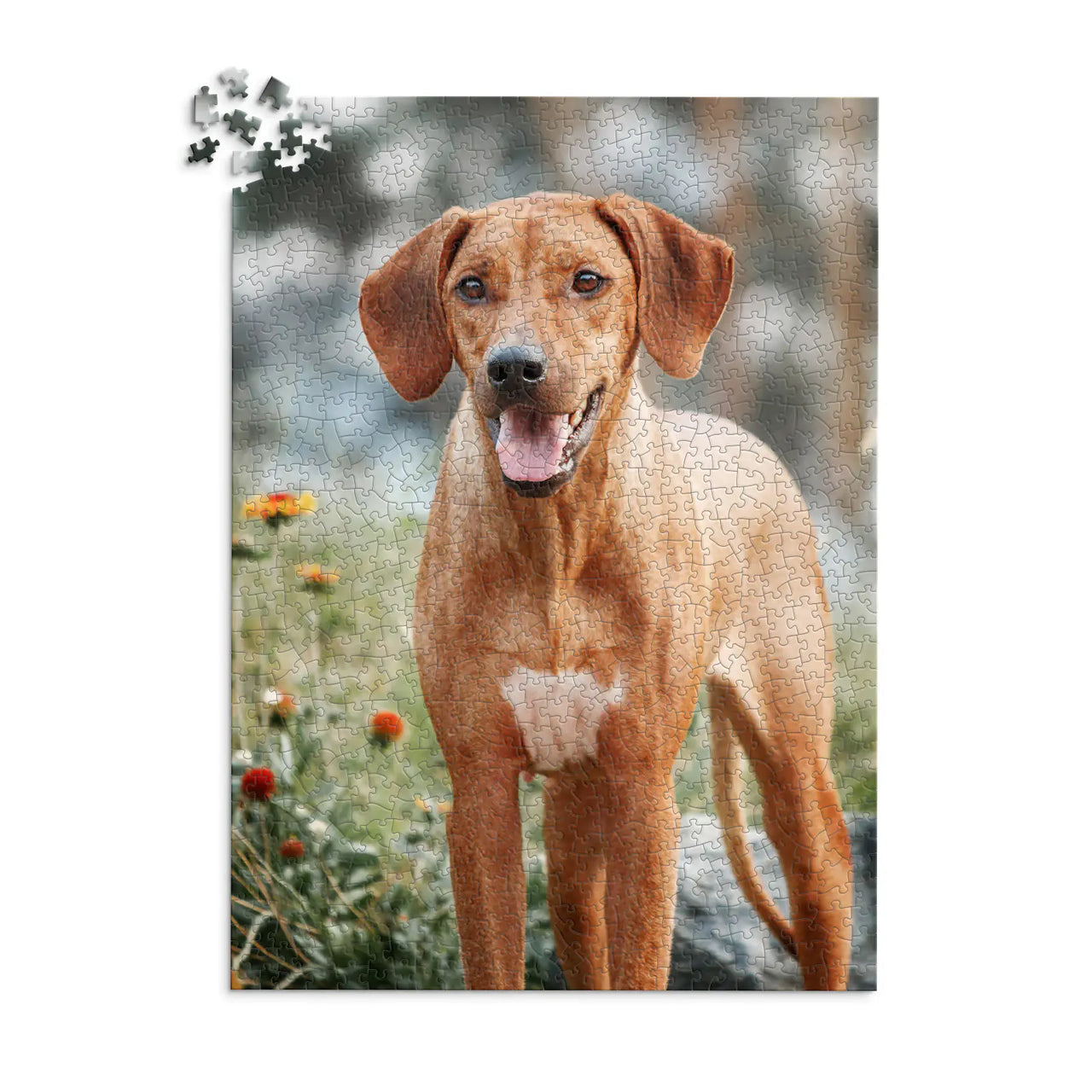 1000 piece custom pet puzzle 1 photo portrait 