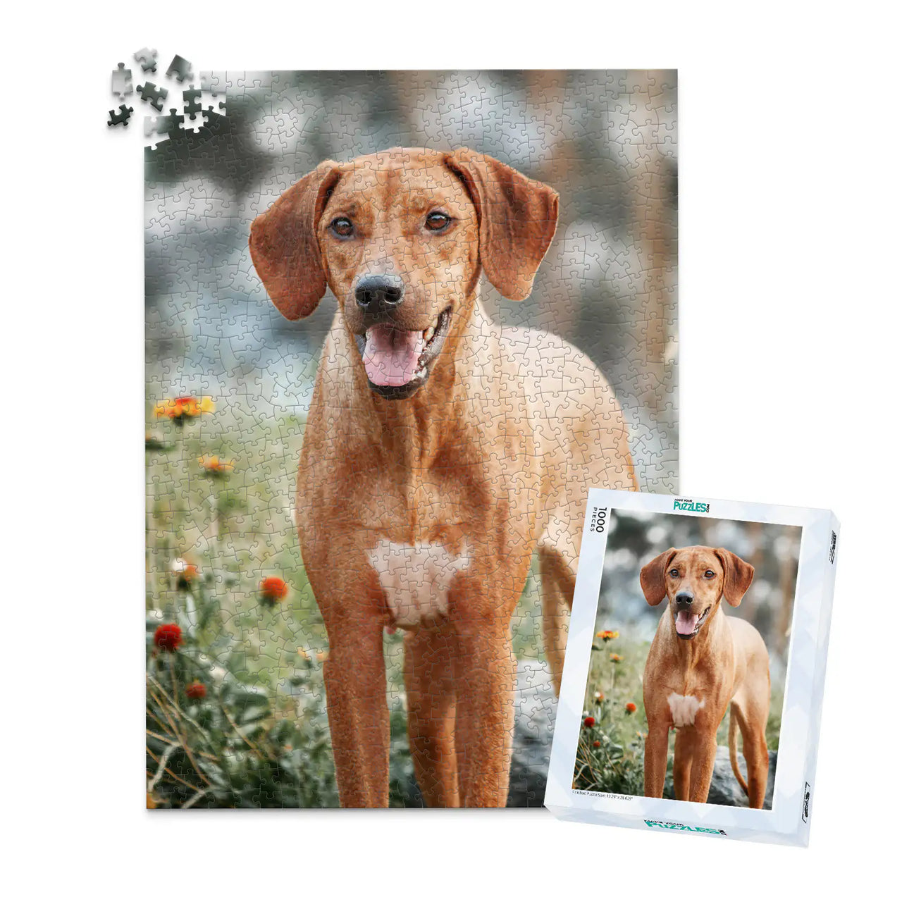 1000 piece custom pet puzzle 1 photo portrait with puzzle box