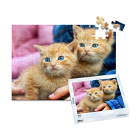 100 Piece custom pet puzzle 1 photo landscape with puzzle box featuring two orange tabby kittens with bright blue eyes, one resting on a person's hand.