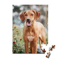 100 piece custom pet puzzle 1 photo portrait of a brown hunting dog