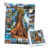 23 Collage Feature Photo Puzzle – Portrait - 1000 piece and box
