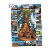23 Photo Collage Puzzle Portrait - 1000 piece