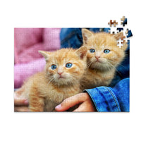 252 Piece custom pet puzzle 1 photo landscape featuring two orange tabby kittens with bright blue eyes, one resting on a person's hand.