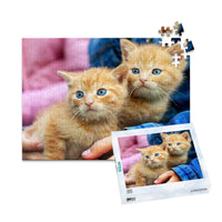 252 Piece custom pet puzzle 1 photo landscape with puzzle box featuring two orange tabby kittens with bright blue eyes, one resting on a person's hand.