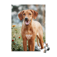 252 piece custom pet puzzle 1 photo portrait of a brown hunting dog