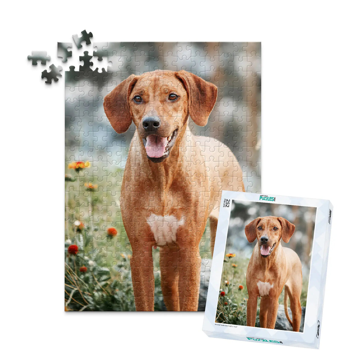 252 piece custom pet puzzle 1 photo portrait of a brown hunting dog with puzzle box