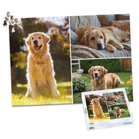 3 Collage Classic Photo Puzzle – Left - 1000 piece and box