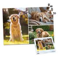 3 Collage Classic Photo Puzzle – Left - 500 piece and box