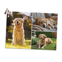 3 Collage Classic Photo Puzzle – Left - 1000 piece