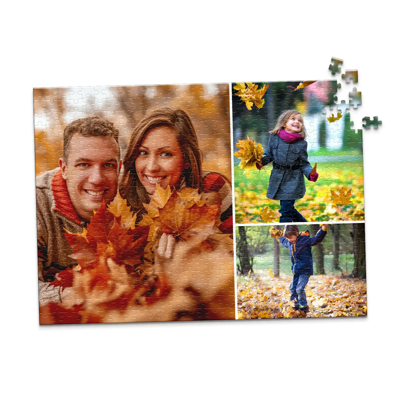 3 Collage Feature Photo Puzzle – Left - 500 piece
