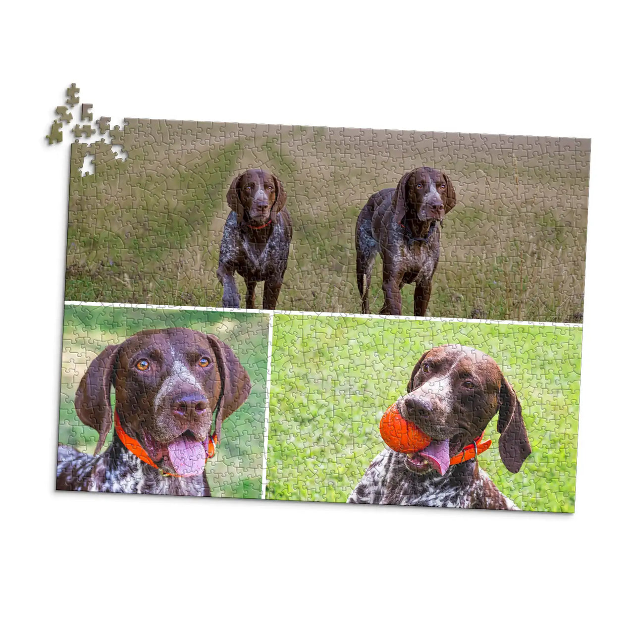 3 Collage Hero Photo Puzzle – Grid - 1000 piece