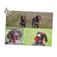3 Collage Hero Photo Puzzle – Grid - 1000 piece