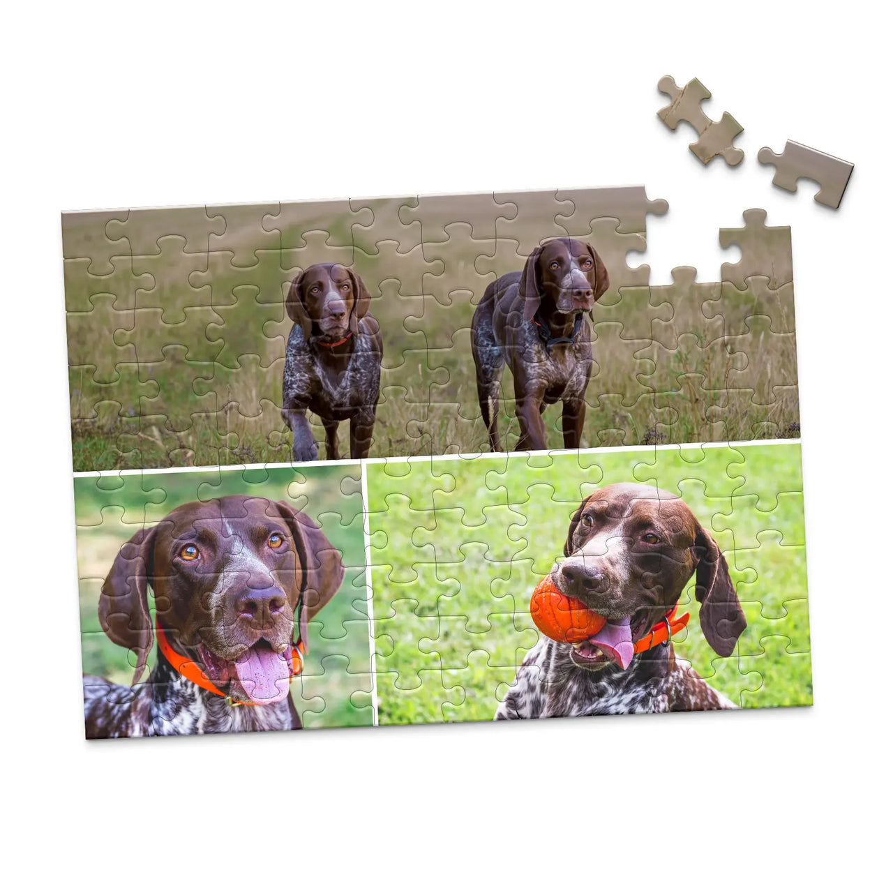 3 Collage Hero Photo Puzzle – Grid - 100 piece