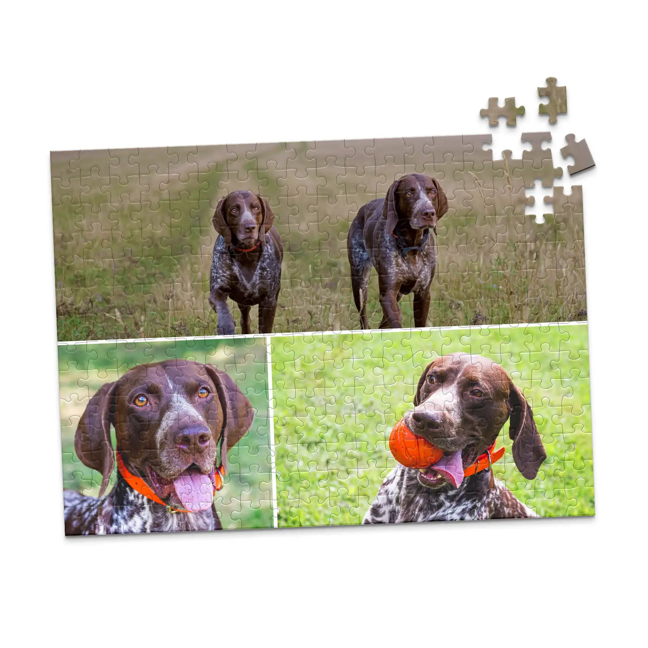 3 Collage Hero Photo Puzzle – Grid - 252 piece