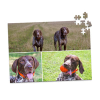 3 Collage Hero Photo Puzzle – Grid - 252 piece