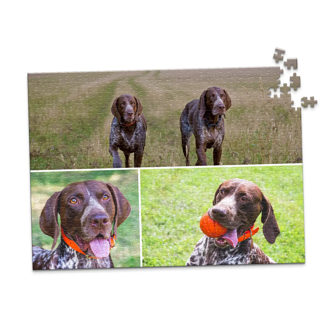 3 Collage Hero Photo Puzzle – Grid - 500 piece