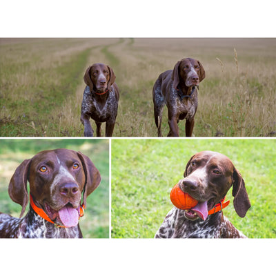 3 Collage Hero Photo Puzzle – Grid