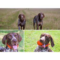 3 Collage Hero Photo Puzzle – Grid