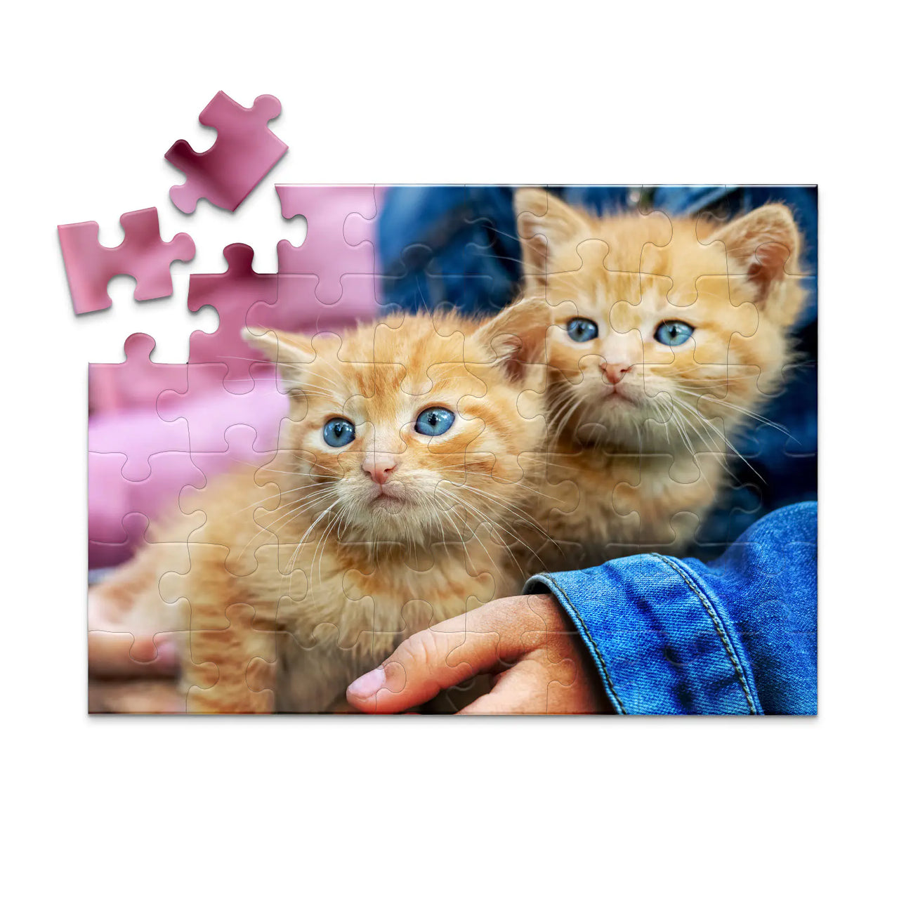 48 Piece custom pet puzzle 1 photo landscape featuring two orange tabby kittens with bright blue eyes, one resting on a person's hand.