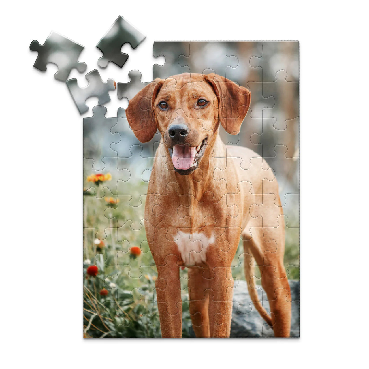 48 piece custom pet puzzle 1 photo portrait of a brown hunting dog