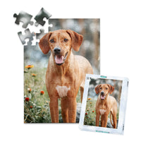 48 piece custom pet puzzle 1 photo portrait and matching puzzle box of a brown hunting dog