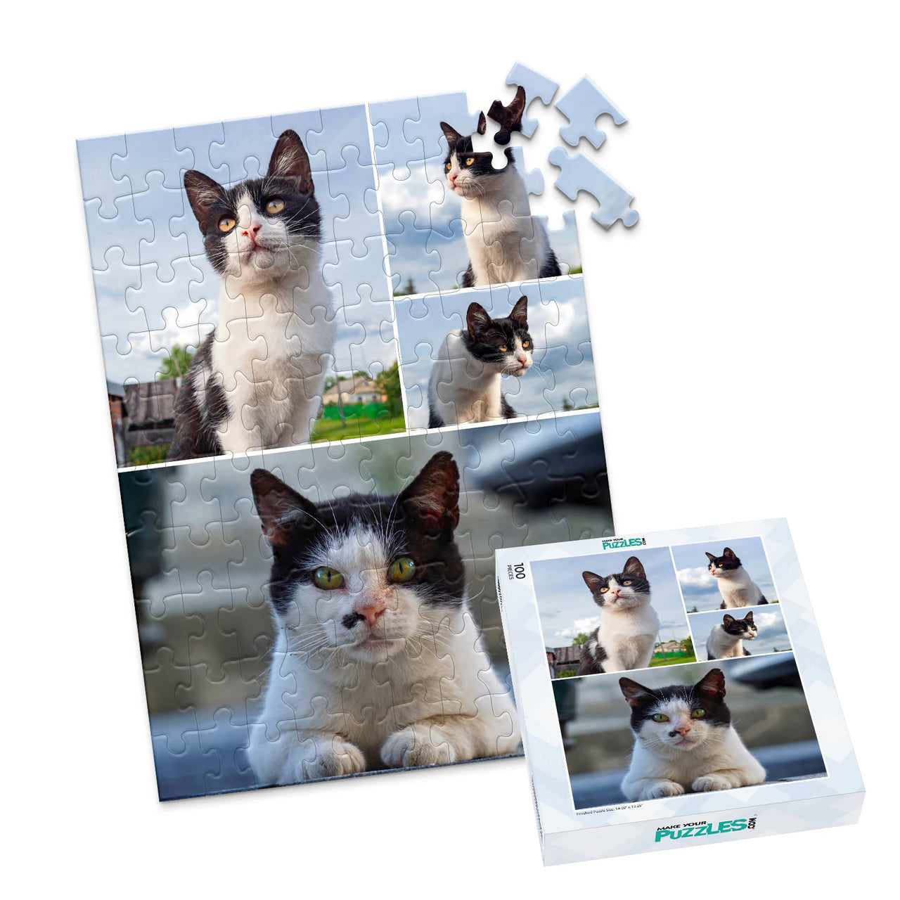 4 Collage Feature Left Photo Puzzle – Panorama - 100 piece and box