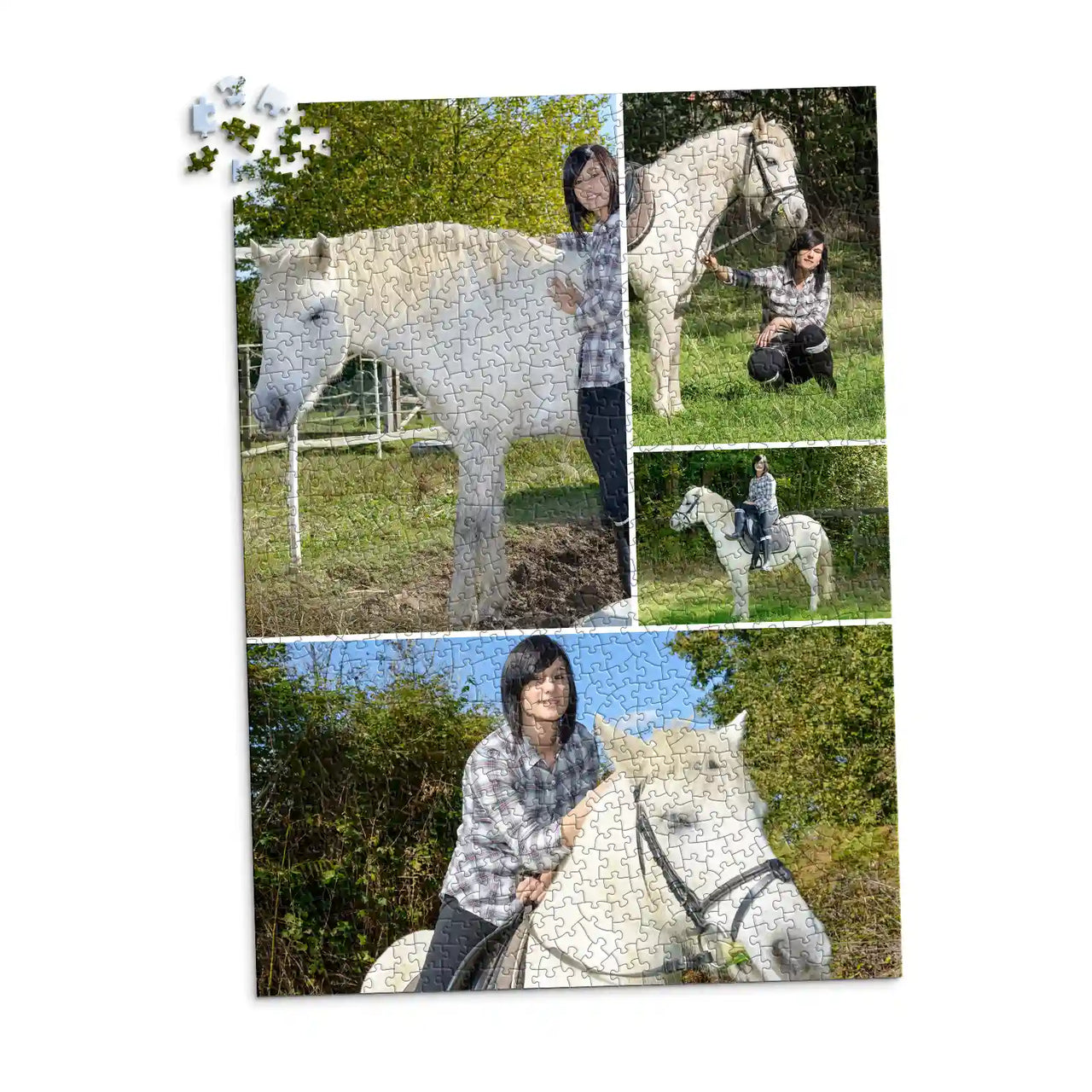 4 Collage Gallery Photo Puzzle – Panorama - 1000 piece