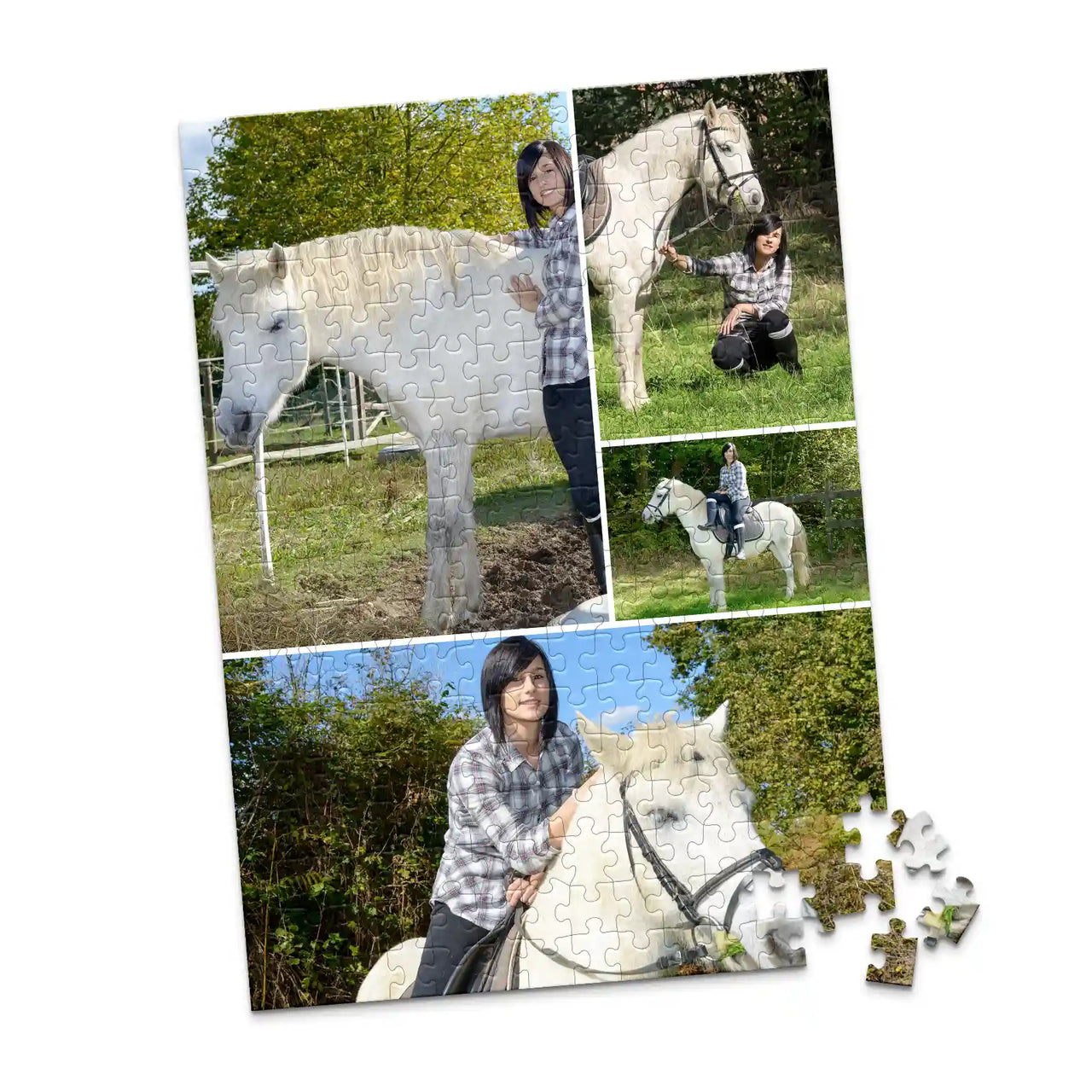 4 Collage Gallery Photo Puzzle – Panorama - 252 piece