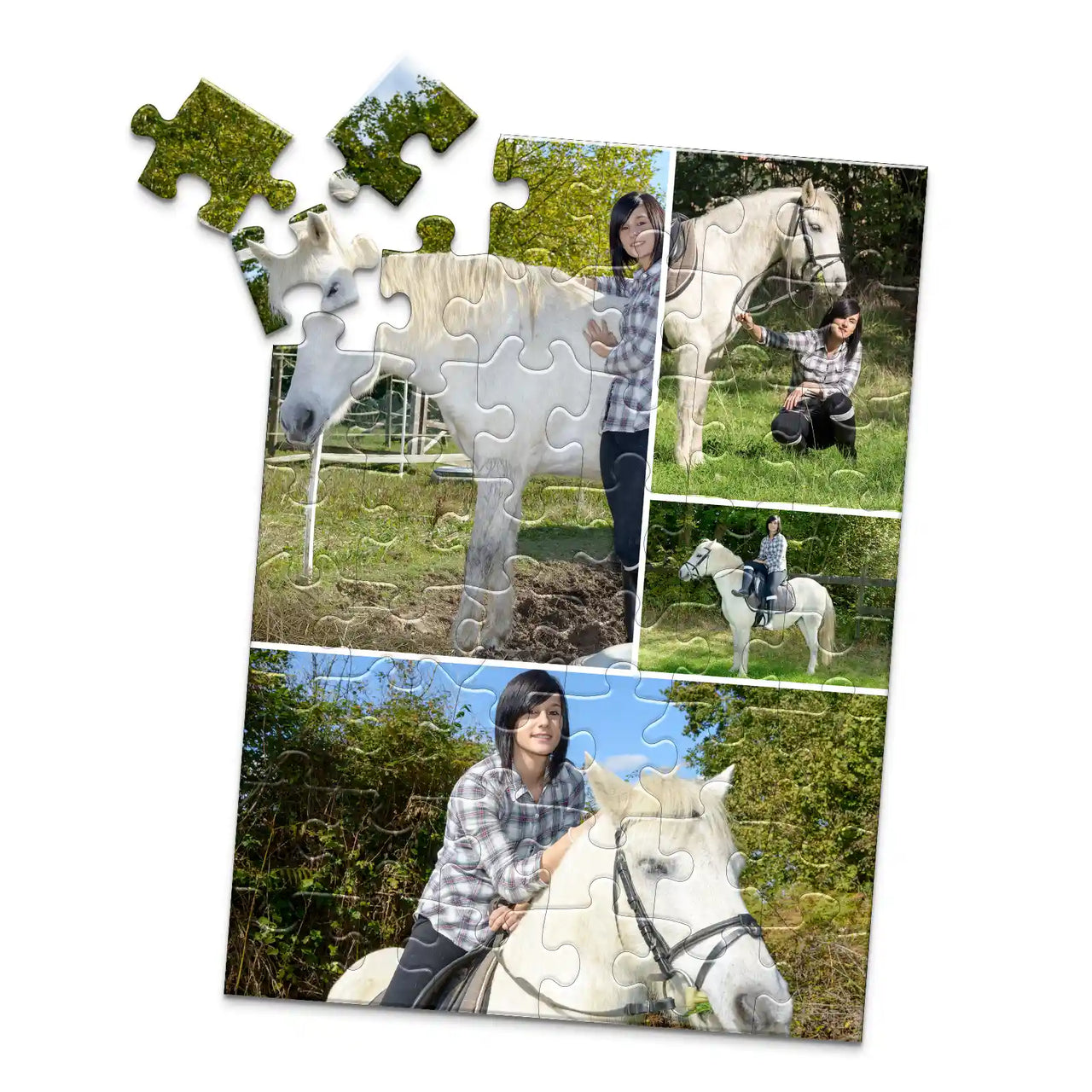 4 Collage Gallery Photo Puzzle – Panorama - 48 piece