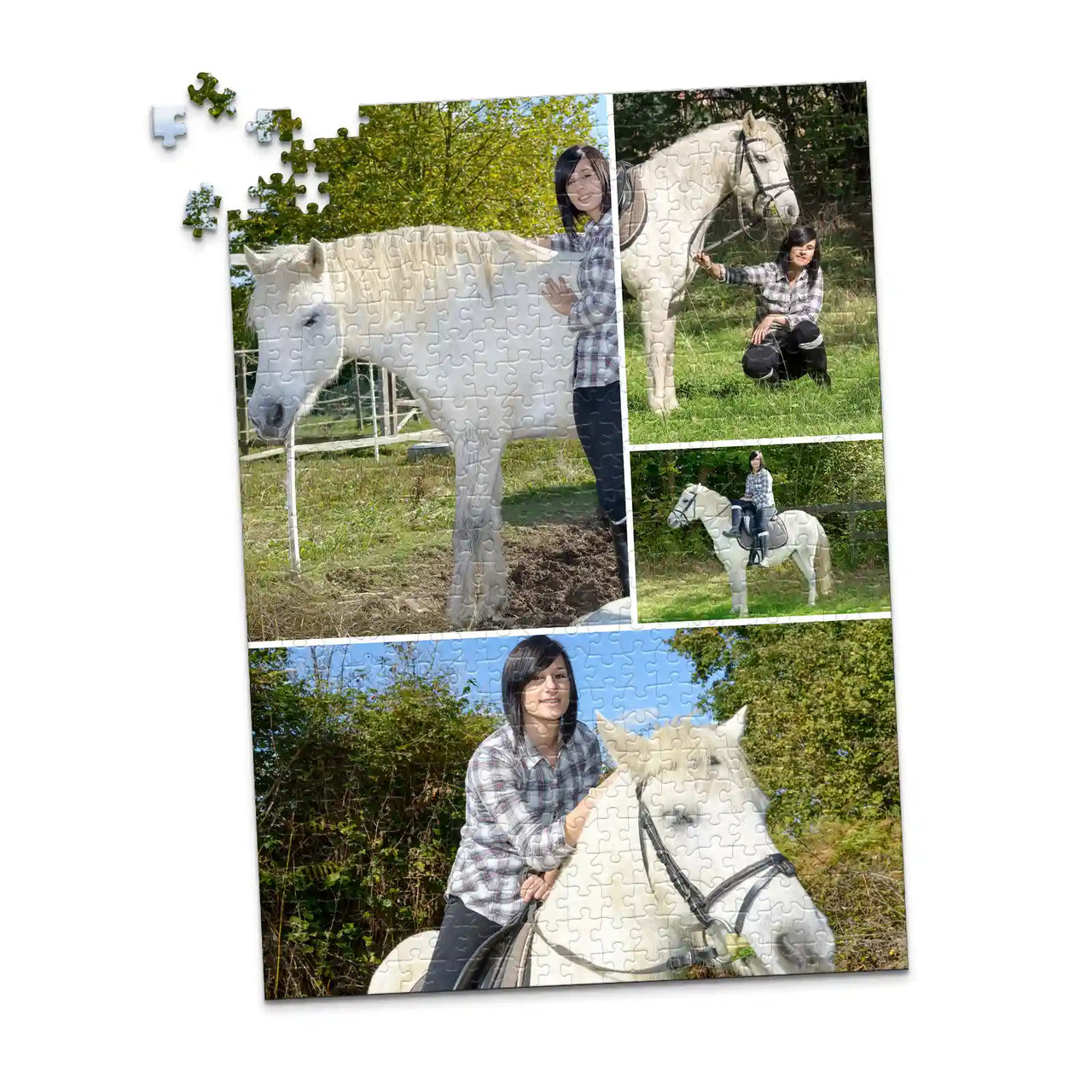 4 Collage Gallery Photo Puzzle – Panorama - 500 piece