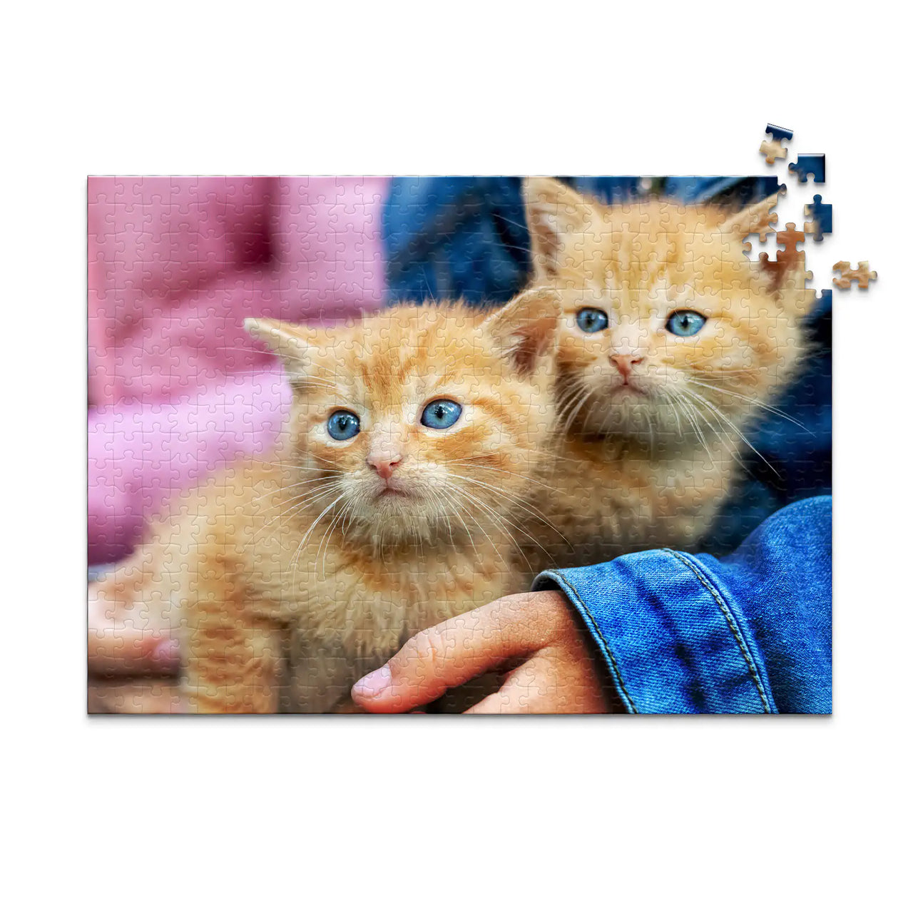 500 Piece custom pet puzzle 1 photo landscape featuring two orange tabby kittens with bright blue eyes, one resting on a person's hand.