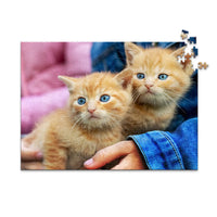 500 Piece custom pet puzzle 1 photo landscape featuring two orange tabby kittens with bright blue eyes, one resting on a person's hand.