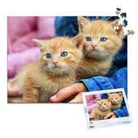 500 Piece custom pet puzzle 1 photo landscape with puzzle box featuring two orange tabby kittens with bright blue eyes, one resting on a person's hand.
