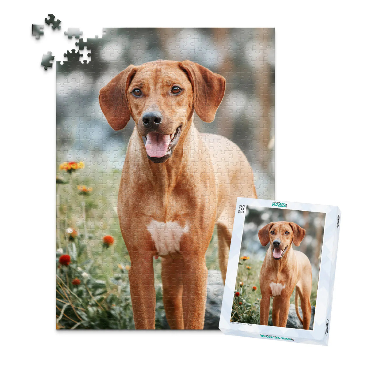 500 piece custom pet puzzle 1 photo portrait of a brown hunting dog with puzzle box