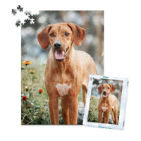 500 piece custom pet puzzle 1 photo portrait of a brown hunting dog with puzzle box