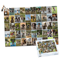 50 Collage Grid Photo Puzzle – Landscape - 1000 piece and box