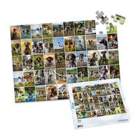 50 Collage Grid Photo Puzzle – Landscape - 100 piece and box