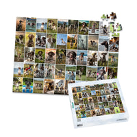 50 Collage Grid Photo Puzzle – Landscape - 252 piece and box