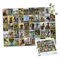 50 Collage Grid Photo Puzzle – Landscape - 500 piece and box