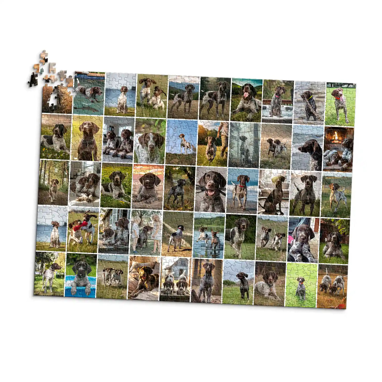 50 Collage Grid Photo Puzzle – Landscape | MakeYourPuzzles - 1000 piece